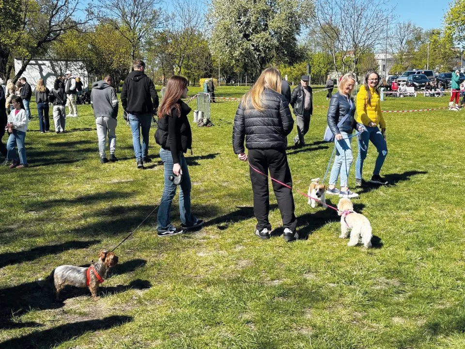 Piknik dla psów na Wrzosowej