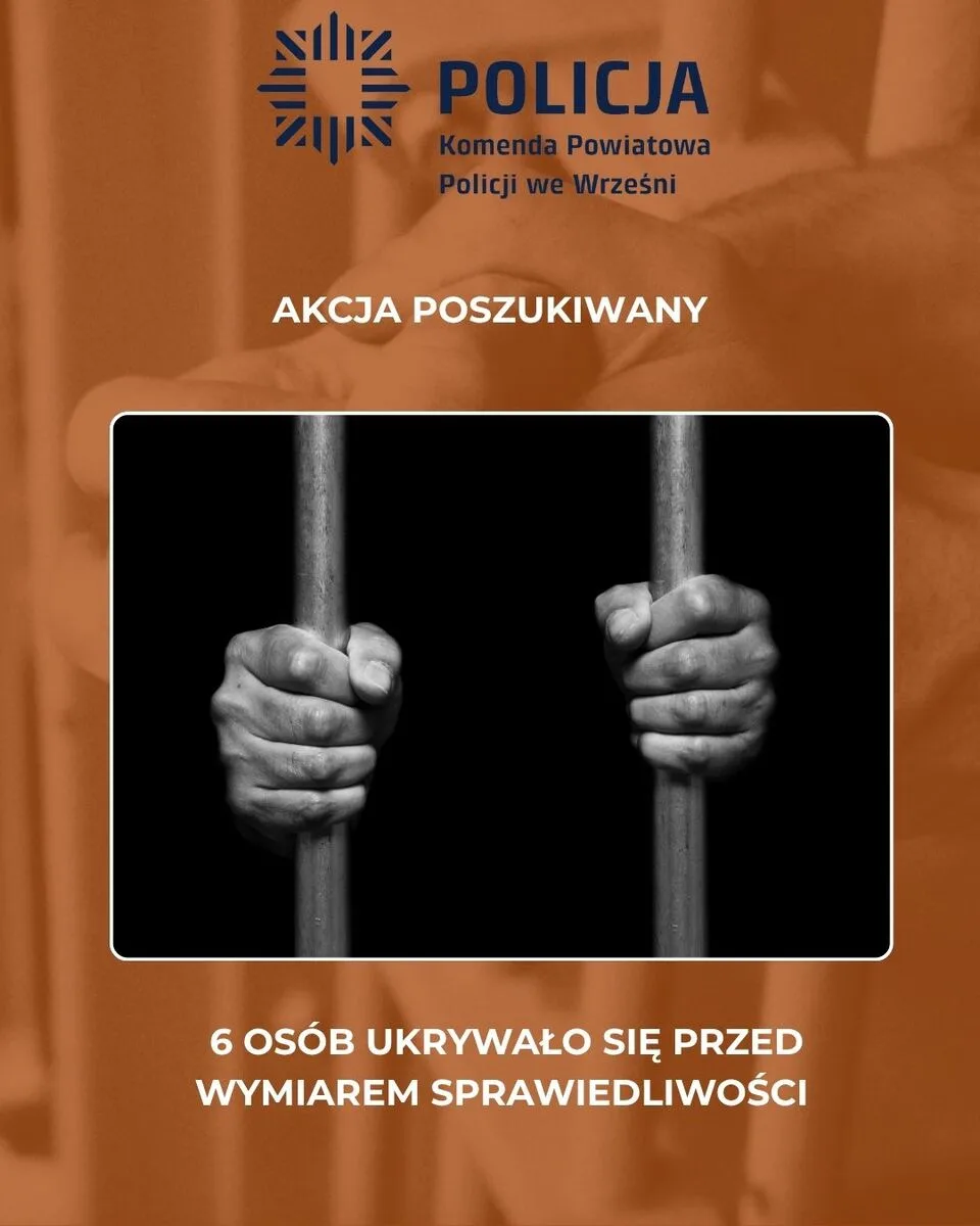 Zatrzymania w akcjach poszukiwawczych
